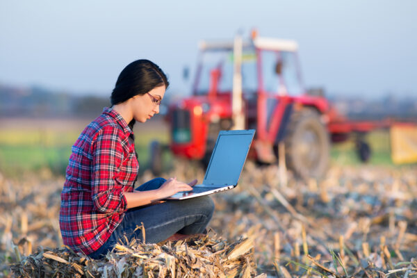 Woman with laptop in corn field